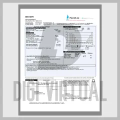 Peoples 宾夕法尼亚燃气账单模板 — PDF 和 Word 完全可编辑