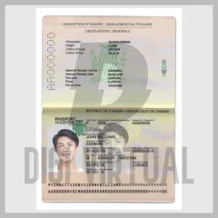 Fullständigt Redigerbart Zambiskt Pass — PSD-mall